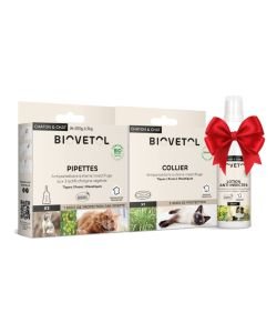 Pack Antiparasitaire Chat/Chaton, 1 pièce